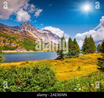 Sunny estate di scena sul lago Silsersee. Distretto di Maloja, cantone svizzero dei Grigioni, Svizzera, Alpi, l'Europa. Foto Stock