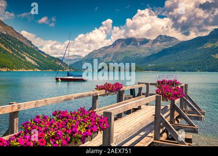 Sole estivo di scena sul lago Silsersee con yacht e fiori che sbocciano. Alpi svizzere. Segl, Svizzera, Europa. In stile retrò filtrato. Foto Stock