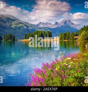 Sunne estate di scena sul lago Champferersee. Silvaplana villaggio della nebbia di mattina. Alpi, Svizzera, Europa. Foto Stock