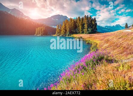 Colorato mattinata estiva sul lago Champferersee. Silvaplana villaggio della nebbia di mattina. Alpi, Svizzera, Europa. Instagram tonificante. Foto Stock