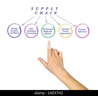 Schema della catena di alimentazione Foto Stock