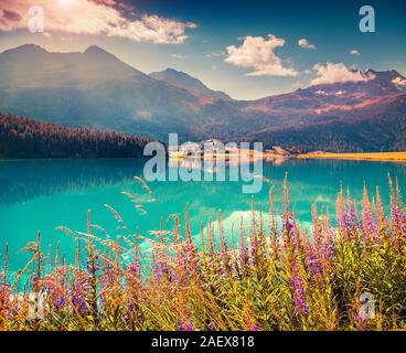 Colorato mattinata estiva sul lago Champferersee. Silvaplana villaggio della nebbia di mattina. Alpi, Svizzera, Europa. Instagram tonificante. Foto Stock