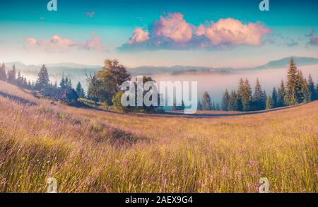 Colorata scena estiva in montagna con dolci colline e valli in presenza di luce solare. Mattinata nebbiosa nei Carpazi, Kvasy village posizione, Ucraina, Euro Foto Stock