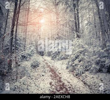 Beautiful winter sunrise in the mountain forest. Retro style. Foto Stock