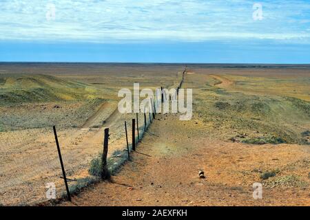 Australia, recinzione cane aka dingo recinto - un 5300 km lungo la recinzione per proteggere scorte vive da predatori Foto Stock