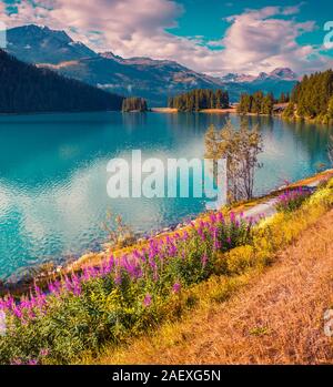 Colorato mattinata estiva sul lago Champferersee. Silvaplana villaggio della nebbia di mattina. Alpi, Svizzera, Europa. Instagram tonificante. Foto Stock