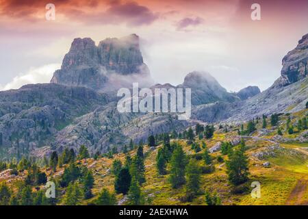 Nebbiosa mattina d'estate sulle Cinque Torri montagna. Vista dal Passo Falzarego. Dolomiti, le Alpi, l'Italia, l'Europa. Foto Stock