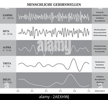 Cervello umano schema onde, lllustration in bianco e nero - la lingua tedesca Illustrazione Vettoriale