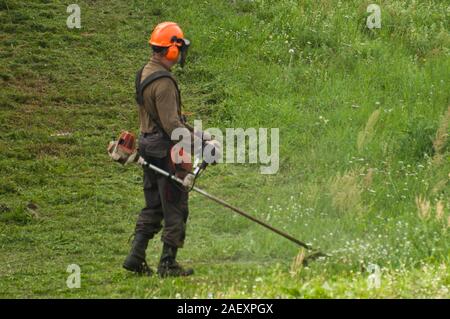 Lavoratore di erba di trimming tramite un hand-held fresa meccanica Foto Stock