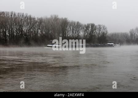 Nebbia mattutina sul Reno, grande nave del Reno, vicino a Karlsruhe, Baden-Wuerttemberg, Germania, Europa Foto Stock