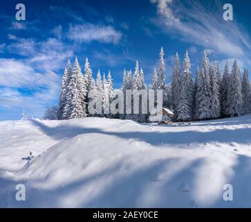 Bella inverno mattina dopo la nevicata nelle foreste di montagna. Frosty outdoor view, Felice Anno Nuovo concetto di celebrazione. Stile artistico post pro Foto Stock