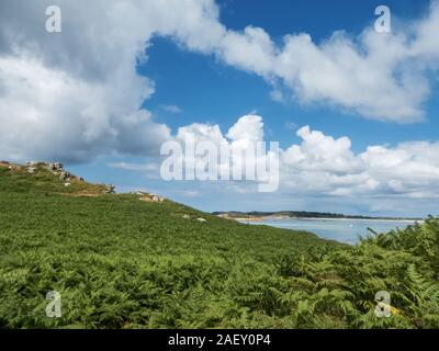 Sansone, isole Scilly, Inghilterra, Regno Unito: Tresco oltre Foto Stock