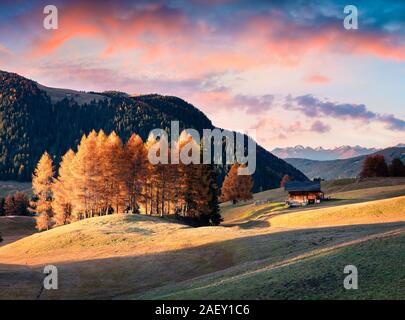 Incredibile tramonto in Alpe di Siusi con un bel colore giallo i larici. Colori d'autunno sera nelle Alpi Dolomitiche, Ortisei locattion, Italia, Europa. Foto Stock