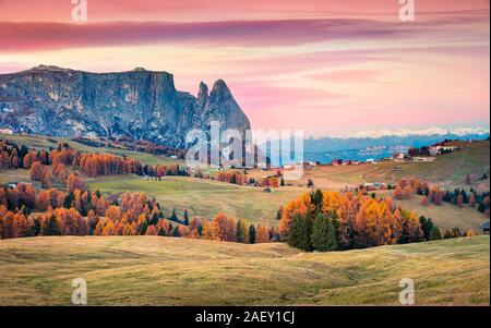 Incredibile sunrise in Alpe di Siusi con un bel colore giallo i larici e dello Sciliar mountain sullo sfondo. Colori d'autunno mattina nelle Dolomiti. Foto Stock