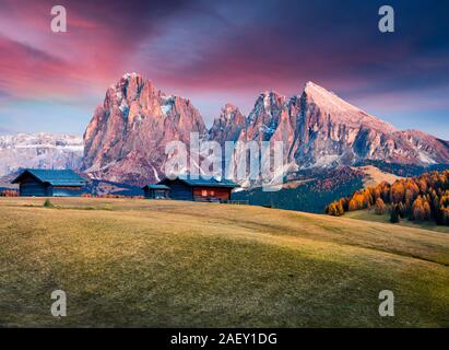 Incredibile sunrise in Alpe di Siusi con Sassolungo (Sassolungo) Mountain sullo sfondo. Colori d'autunno mattina nelle Alpi Dolomitiche, Ortisei locattion. Foto Stock