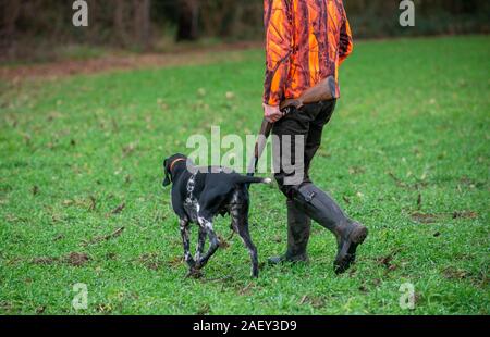 Un cacciatore con il fucile e il suo cane sono a caccia di lepri e fagiani. Foto Stock