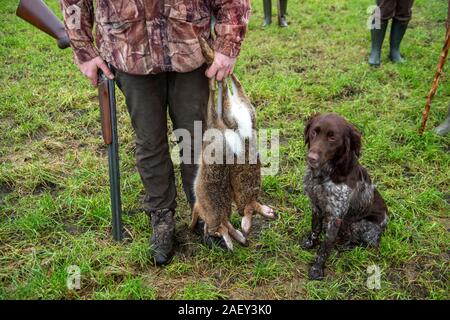 Un cacciatore con il suo cane e due morti di lepri che appena è stato girato da lui. Foto Stock