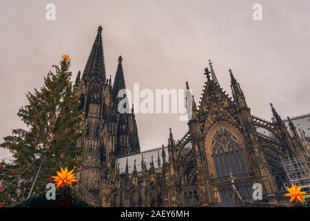 Vista sulla famosa cattedrale di Colonia attraverso decorate Abete rami presso il vicino mercato di Natale Foto Stock