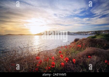 Favoloso tramonto a Mykonos, Cicladi Grecia. Agia Anna. Vista da Scorpios Foto Stock