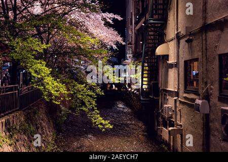 Kyoto, Giappone incandescente illuminata la fioritura dei ciliegi sakura flower alberi lungo il fiume canal in Gion a notte durante il festival Hanami con superficie di acqua refle Foto Stock