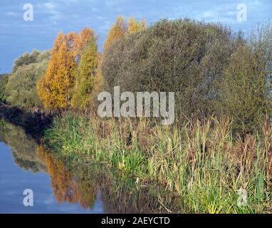 Pocklington Canal in autunno Foto Stock