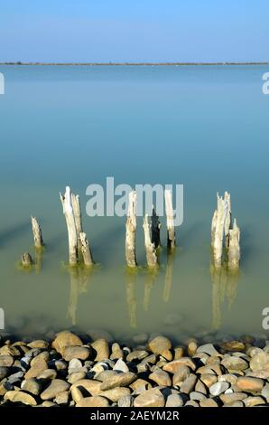 Paesaggio con vecchi pali in legno o colonne di legno Etang de Vaccarès o stagno di Vaccarès Camargue Zone Umide & Riserva Naturale Provence Francia Foto Stock