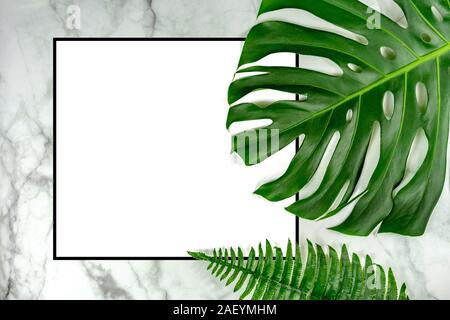 Monastera philodendron foglie su sfondo marmo naturale background design concetto di frame con il bianco della carta vuoti . Foto Stock