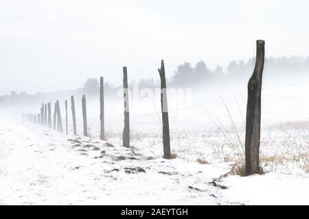 Foschia mattutina in una coperta di neve country farm field con alberi in background. Pali da recinzione scompaiono nelle nebbiose di distanza. Foto Stock