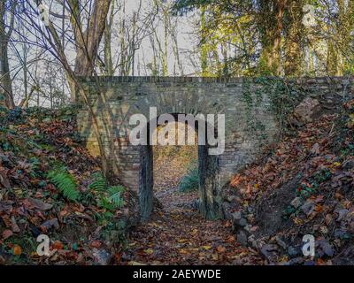 Ponte di mattoni (Terhagerpötje) su un percorso pedonale in mezzo alla foresta Bunderbos, giorni di autunno in Elsloo, Limburgo meridionale nei Paesi Bassi Foto Stock