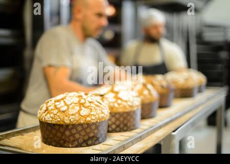 Due pasticcerie per adulti, panettone per torte dolci della stagione italiana, originale di Milano Foto Stock