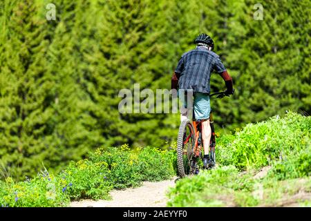 Mount Crested Butte, Stati Uniti d'America - 21 Giugno 2019: Snodgrass trail con retro dell'uomo equitazione Bicicletta sul percorso in Colorado su strada popolare con backgorund di pino Foto Stock