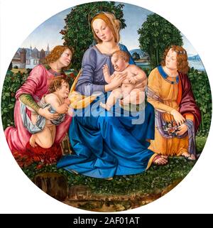 Madonna con Bambino e Neonato San Giovanni e due angeli di Lorenzo di Credi (c.1456-1537), olio e tempera su pannello in legno, c.1490 Foto Stock