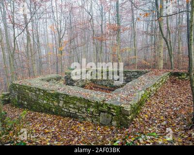 Rovine del Castello Wittekindsburg vicino Rulle, Osnabrueck-Land, Bassa Sassonia, Germania, la torre a pianta rettangolare del castello del duca di Widukind. Foto Stock