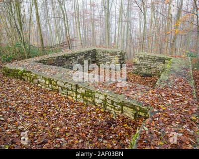 Rovine del Castello Wittekindsburg vicino Rulle, Osnabrueck-Land, Bassa Sassonia, Germania, la torre a pianta rettangolare del castello del duca di Widukind. Foto Stock