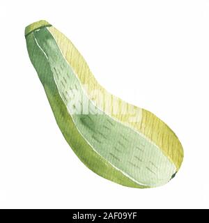 Zucchine fresche isolato su sfondo. Squash intera. Verdura fresca di midollo osseo isolate. Oblungo, zucca verde. Zucchini Zucchine Zucchine o. Foto Stock
