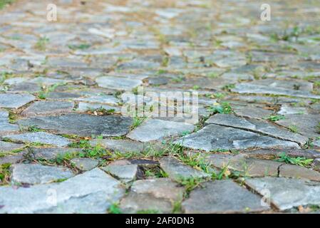 Percorso di pietre. Il sentiero nel prato. Interruzioni di erba attraverso la muratura. Foto Stock