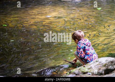 Giovane ragazzo giocando in prossimità di acqua con pesce Foto Stock