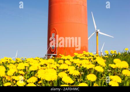 Colorato turbine eoliche in polder, terra recuperata nei pressi di Almere, Flevoland, Paesi Bassi. Foto Stock