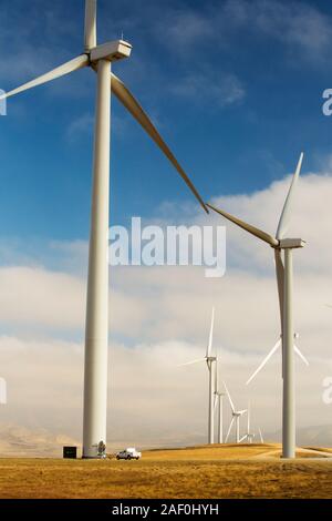 Parte del Tehachapi Pass wind farm, il primo grande scala wind farm area sviluppata negli Stati Uniti, California, Stati Uniti d'America. Foto Stock