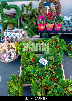 Un display di Natale agrifoglio corone di fiori e piante in vaso a Whitby North Yorkshire Foto Stock