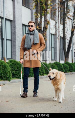 Cieco di camminare con il cane guida su strada urbana Foto Stock