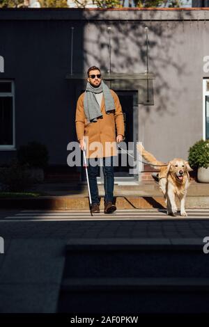 Cieco di camminare con il cane guida e bastone su crosswalk Foto Stock