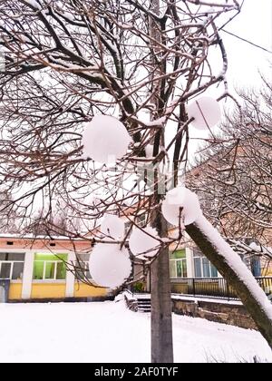 Facciamo i mestieri con bambini - bambini decorato gli alberi nel cortile con snowballs con un attrezzo speciale per rendere snowballs. Esso si è rivelato molto bello. Foto Stock