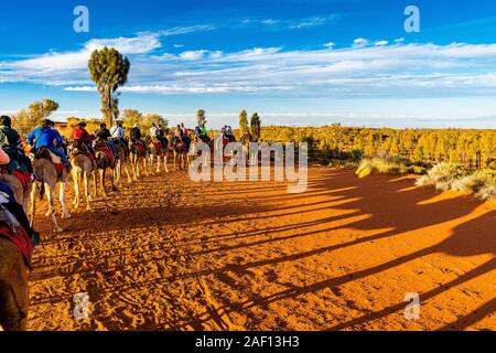 Turisti in un tour a dorso di cammello al tramonto nei pressi di Uluru. Le silhouette sui cammelli sono allungate sulla sabbia rossa. Uluru, territorio del Nord, Australia Foto Stock