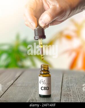 Mano che tiene la pipetta con la cannabis CBD olio su tavola di legno contro la pianta della canapa Foto Stock