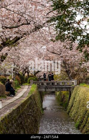 Aprile, 11. 2019: il filosofo a piedi in primavera. Kyoto, Giappone Foto Stock