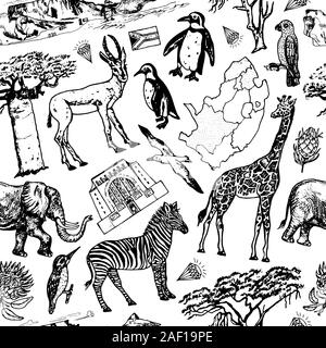 Africa doodle vintage modello Seamless sfondo. Animali selvatici in safari isolati su sfondo bianco. Giraffa e zebra, mappa e uccelli. Disegnata a mano Illustrazione Vettoriale