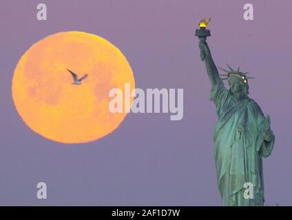 Red Hook, Stati Uniti. 12 Dic, 2019. Un Super neve Luna tramonta dietro la statua della Libertà shorty dopo l'alba del 19 febbraio 2019, nella città di New York. Il super neve luna è il secondo dei tre eventi supermoon nei primi tre mesi dell'anno -- un ricco calendario lunare per 2019, che segna il cinquantesimo anniversario di Apollo 11, la missione che ha preso il primo uomo sulla luna. Foto di Giovanni Angelillo/UPI Credito: UPI/Alamy Live News Foto Stock