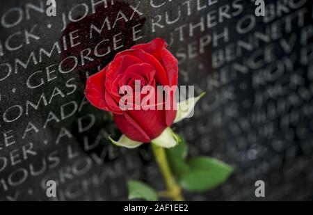 Washington, Stati Uniti. 12 Dic, 2019. Un fiore è collocato presso il Memoriale dei Veterani del Vietnam durante un Vietnam Nazionale Veterani di Guerra cerimonia della Giornata il 29 marzo 2019, a Washington, DC presidente Donald Trump firmato la guerra del Vietnam Veterans atto di riconoscimento del 2017 in legge, che designa ogni 29 Marzo come il Vietnam nazionale veterani di guerra al giorno. Foto di Leigh Vogel/UPI Credito: UPI/Alamy Live News Foto Stock