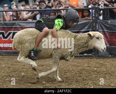 Des Moines, Stati Uniti. 12 Dic, 2019. Un ragazzo si blocca sullo stretto come egli partecipa a un 'Mutton rompendosi' pecore rodeo di equitazione alla Iowa State Fair, Des Moines, Iowa, 10 agosto 2019. Iowa è il crocevia di agricoltura e 2020 politica presidenziale e lo stato Fiera porta Iowa è il fornitore leader di fagioli di soia, mais, porci, uova, la produzione di etanolo insieme con un politico Soapbox per i candidati al passo le loro campagne. Foto di Mike Theiler/UPI Credito: UPI/Alamy Live News Foto Stock